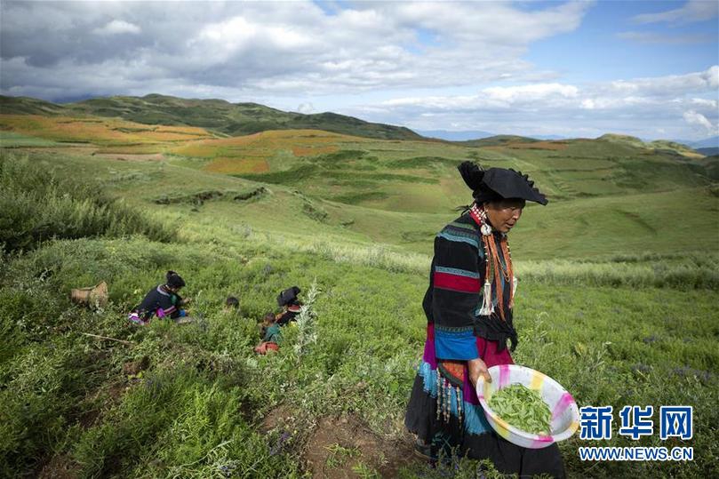 凉山州多少人口_凉山州地图(3)