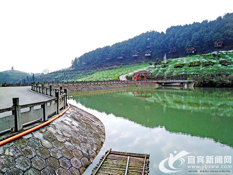 该镇在乡村振兴战略中,依托大雁岭景区大力发展农旅产业,昔日的