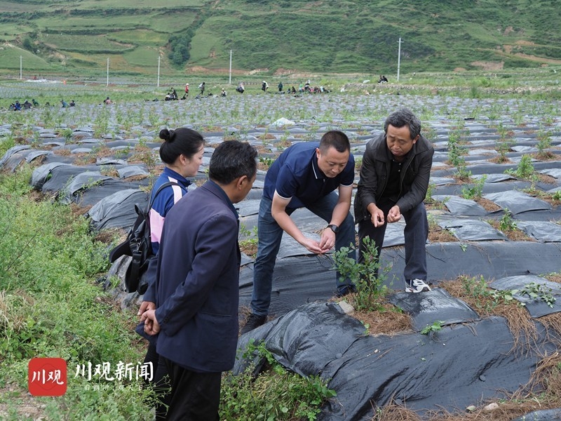 布拖县线人口_布拖县地图(2)