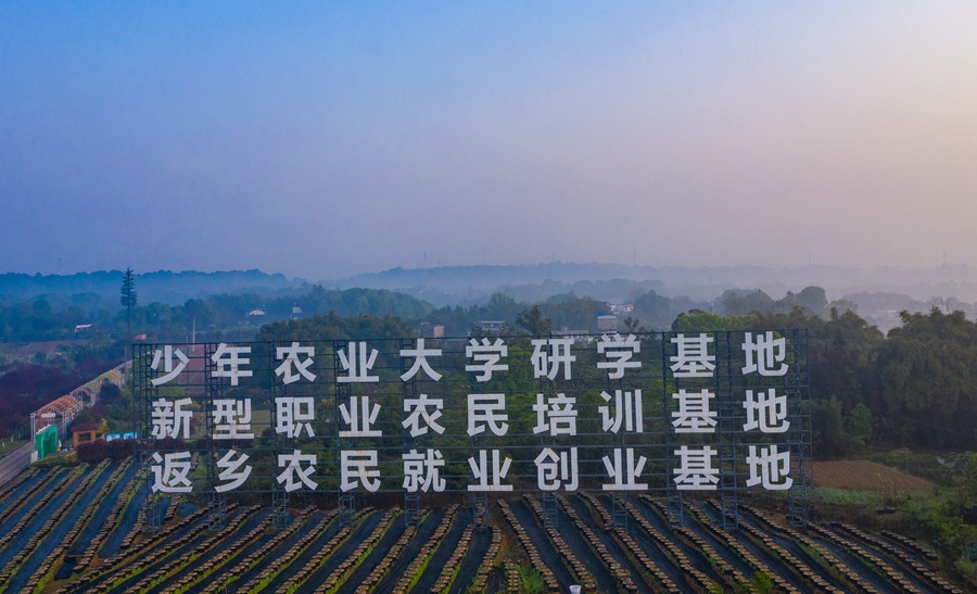 泸州人口有多少2021_泸州贡酒52度多少一瓶(2)
