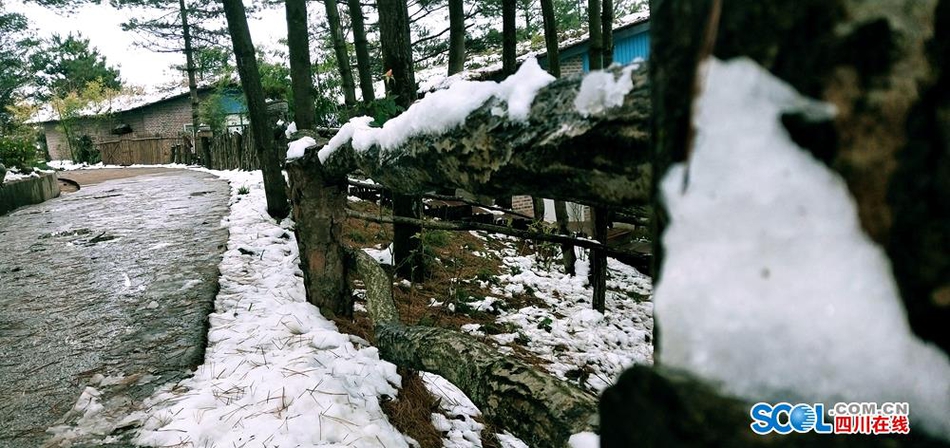 当成都平原还是一片金黄 这里已是白雪皑皑