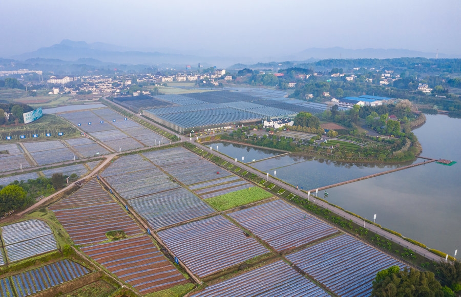 泸州市江阳区人口_泸州市江阳区(2)
