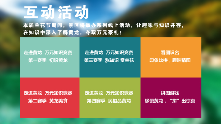互动活动