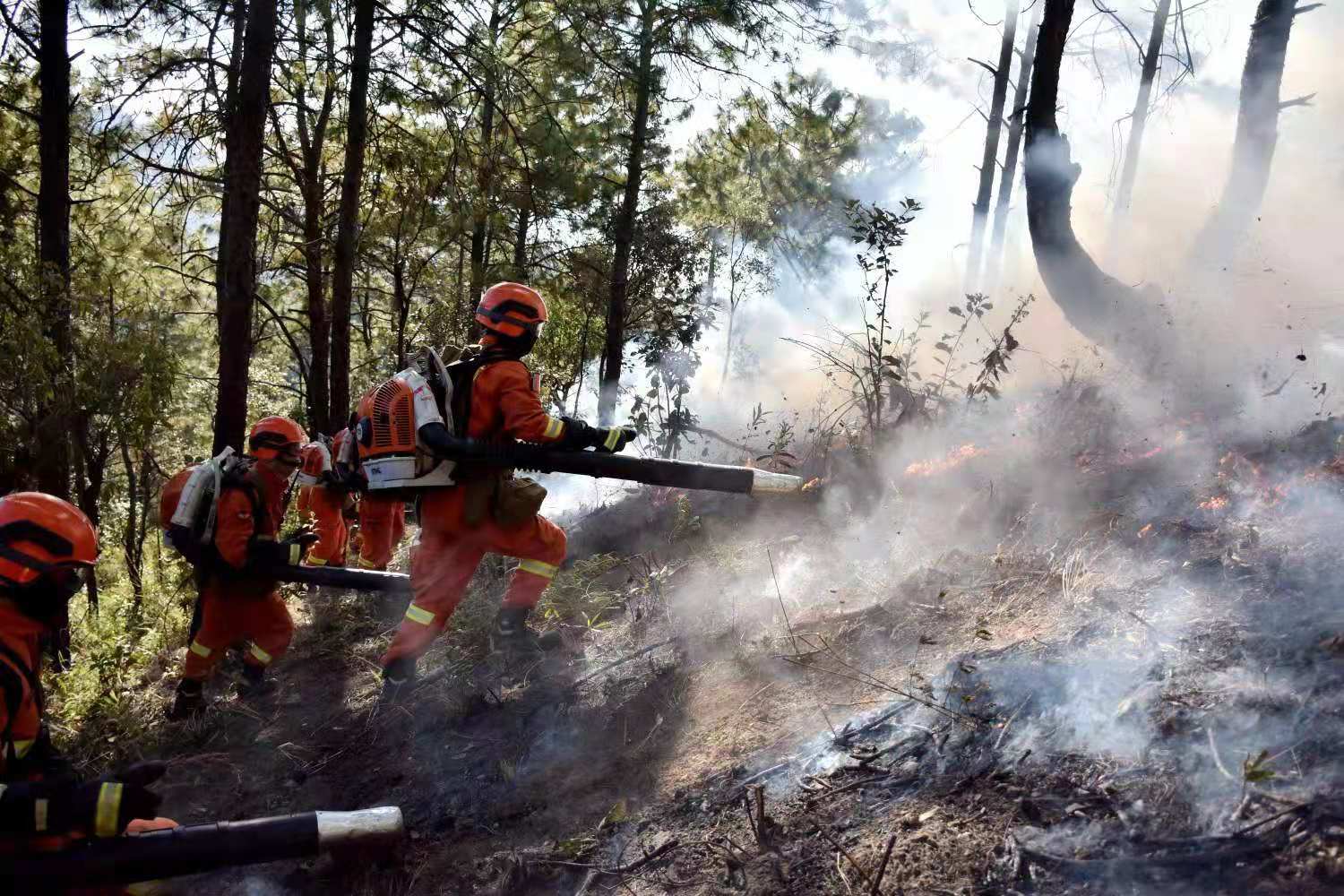 攀枝花森林消防开展“计划烧除”。 本文图均为 受访者 供图
