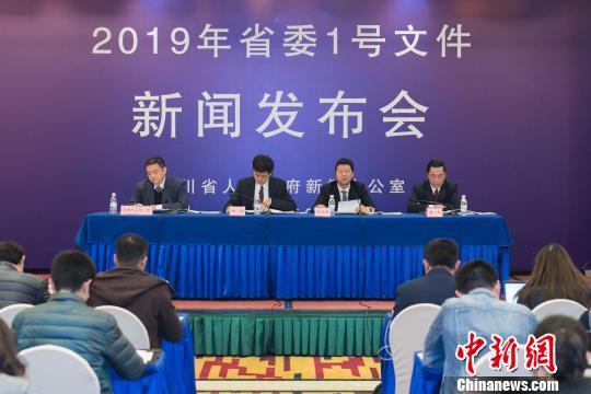 图为新闻发布会现场。 陈俊汐 摄