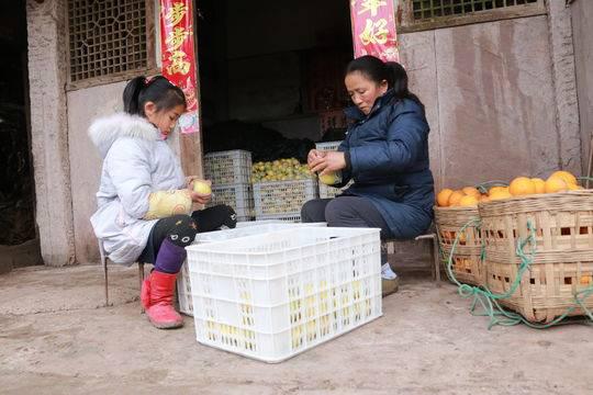 给鲜柠檬套塑料袋