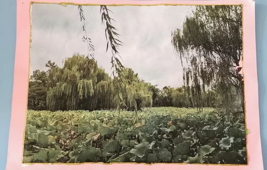 曾劲松班级诗配画活动
