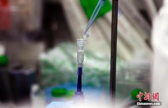 资料图：科研人员在演示新型冠状病毒疫苗研发实验过程。 汤彦俊 摄