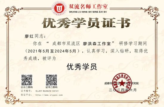 廖红老师的部分荣誉证书