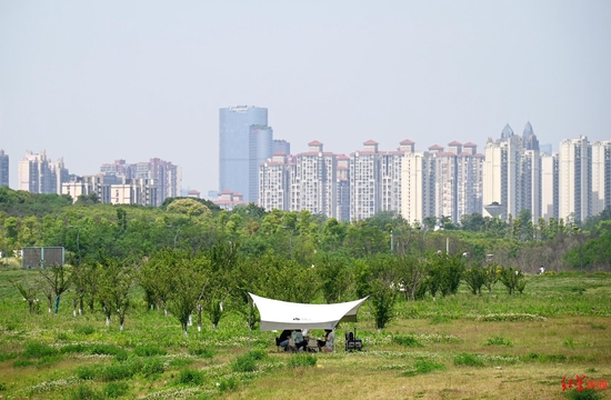 ∆市民在青龙湖湿地公园露营（王效 摄）