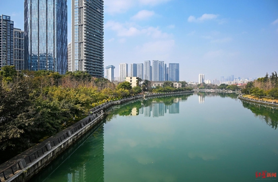 ▲城市建筑与锦江边河滨路生态环境相得映彰 红星新闻 王效 摄