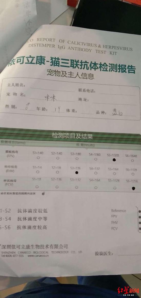 一次检查出了两个报告