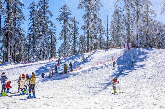 图为游客正在瓦屋山上滑雪(张平摄影)