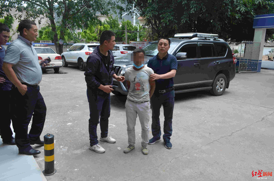 楊某某被警方抓獲