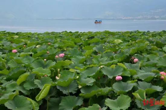 　西昌邛海