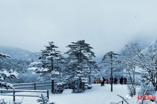 5月飛雪！四川螺髻山景區下雪了，索瑪花和雪景構成奇特景觀