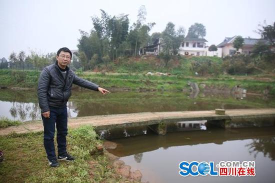 杨雨