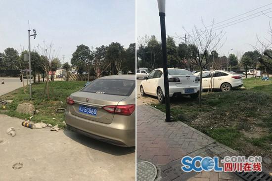 记者调查:离停车场约百米,汽车开进绿化带