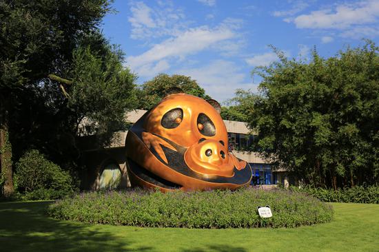 成都熊猫基地风景如画的生态环境。