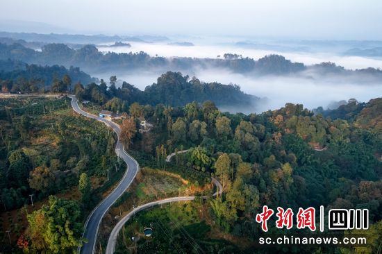 图为四川省农村公路。(四川省交通运输厅供图)