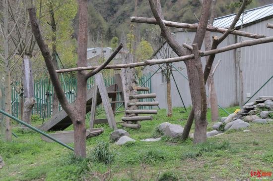 ▲2020年4月12日,神树坪熊猫基地,大熊猫“禄禄仔”死亡的地方已经没有吊绳球玩具