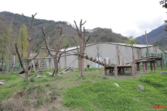 ▲2020年4月12日,神树坪熊猫基地,大熊猫“禄禄仔”死亡的地方已经没有吊绳球玩具