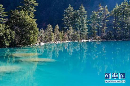 這是11月7日拍攝的九寨溝景區一景。新華社記者 高健鈞 攝
