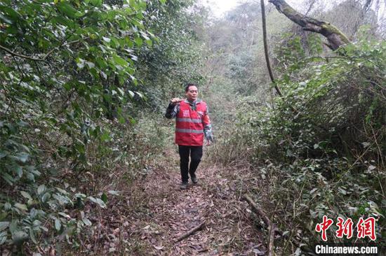 游小軍巡山護林。 賀樊麗 攝