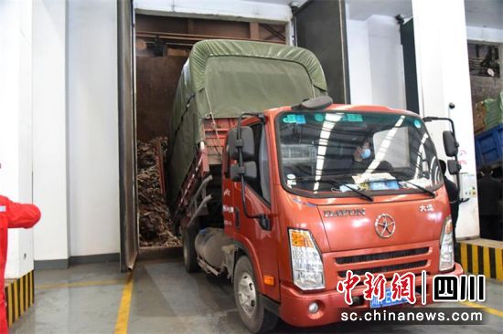 一件件假冒偽劣卷煙被直接卸入垃圾倉內。主辦方供圖