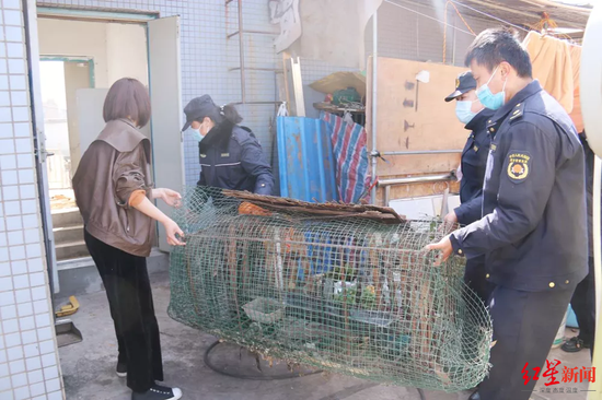 城管隊員拆除雞棚