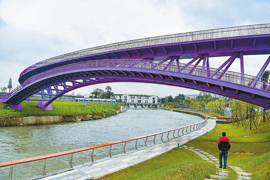 锦城公园跨江安河及成双大道的绿道桥，宛如一条粉紫色的“飘带”。