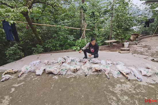 ↑冰凍的野生動物制品