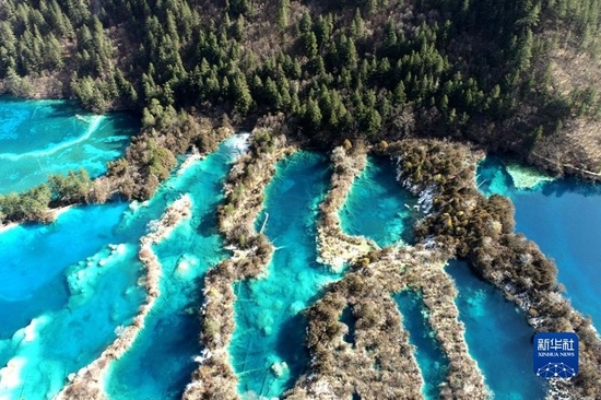 　九寨沟“树正群海”的湖泊景观。（九寨沟景区供图）