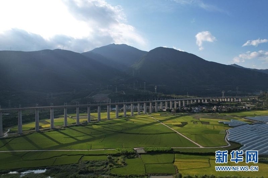 四川凉山超级杂交稻单季亩产1200公斤高产攻关德昌基地的农田。