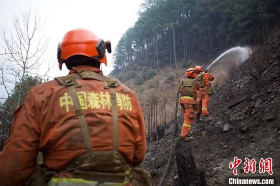 四川雅江森林火灾：1号火场明火已扑灭 2号3号火场有断续火线