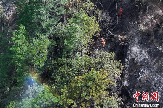 四川雅江森林火灾一线：灰黑色林地中的醒目“橙色”