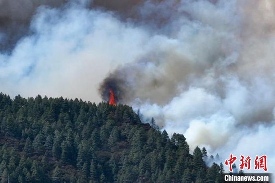 四川再发高森林草原火险橙色预警