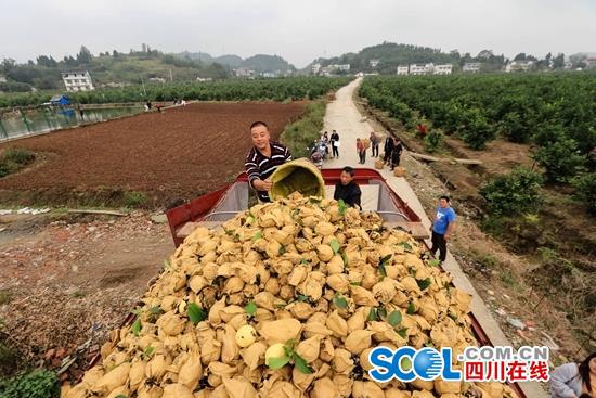 吴雍 摄
