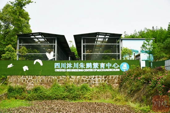 沐川朱鹮繁育中心