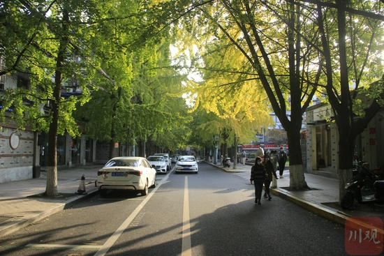 成都市金牛区银杏路