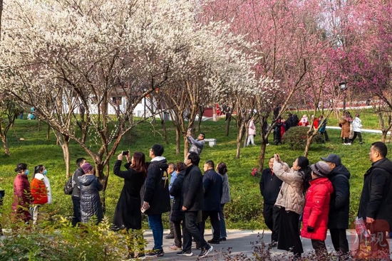 改造提升后的西山公园，春节假期吸引了很多市民来此游玩。张承安 摄