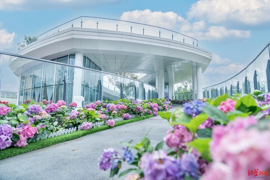 ▲2021年,成都建成首批6個(gè)公園式婚姻登記處。圖為府河攝影公園婚姻登記處