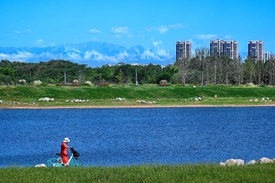 ↑青龙湖湿地公园