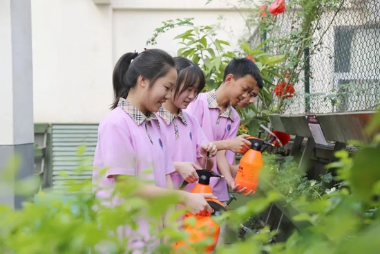 学习种植技术