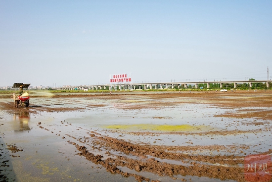 5月下旬，都江堰灌区位于眉山市东坡区一处农业园区的春灌景象。