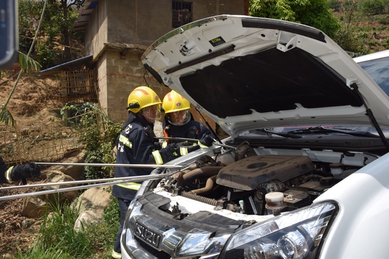 14斤重的眼鏡王蛇鉆進汽車引擎蓋內。
