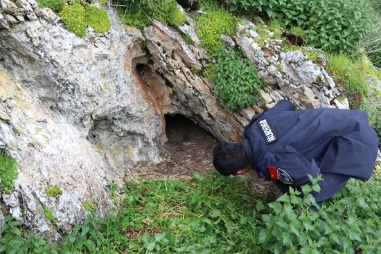 工作人员发现母豹居住的山洞。