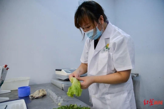 ▲在农残检测室，工作人员正对蔬菜进行农残检测