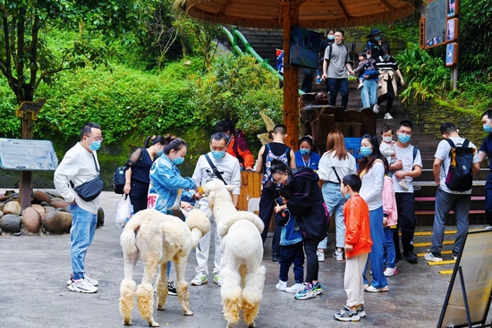 雅安碧峰峡景区亲子游客多。雅安市文体旅局供图