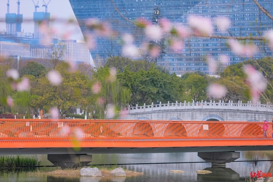 ▲天府绿道 桂溪生态公园